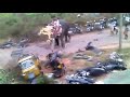 elephant goes berserk causes crazy damage in india