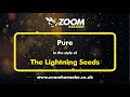 The Lightning Seeds - Pure - Karaoke Version from Zoom Karaoke