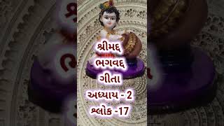 શ્રીમદ ભગવદ ગીતા અધ્યાય ૨ શ્લોક ૧૭|#viral #shorts #shortvideo #viralshorts #religion  #hinduculture