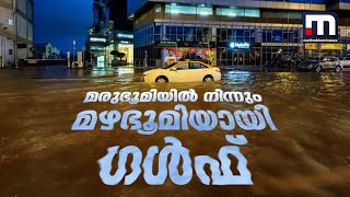 മരുഭൂമിയില്‍ നിന്നും മഴഭൂമിയായി ഗള്‍ഫ്- അറേബ്യന്‍ സ്റ്റോറീസ് | UAE Rain | UAE | Arabian Stories