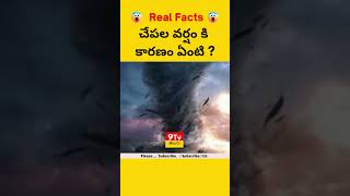 చేపల వర్షం కి కారణం ఏంటి ? Top 10 Interesting Facts In Telugu | Telugu Facts | V R Facts In Telugu