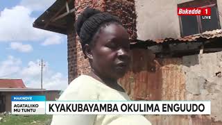 OKUTUMBULA EBY'ENTAMBULA, BATONGOZZA EKIMOTOKA, KYAKUBAYAMBA OKULIMA ENGUUDO