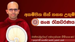 අකම්පිත සිත් තනන උතුම් සංඝ#ven.Battaramulle Amadassana thero#dharmayai obai#pahura #bana