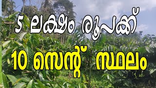 വയനാട്ടിൽ 5 ലക്ഷം രൂപയ്ക്ക് 10 സെൻറ് സ്ഥലം വാങ്ങാം : Buy 10 cent land , total cost: 5 lakhs only