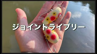 【バス釣り】トップウォータープラグのアクション動画