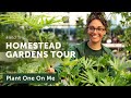 Homestead Garden HOUSEPLANT Tour — Ep. 368