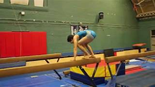 MIT Gymnastics Club - Switch Day 2013