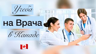 КАК СТАТЬ ВРАЧОМ В КАНАДЕ // Этапы учебы //  Стоимость // Сроки // Английский // Эвалюация диплома