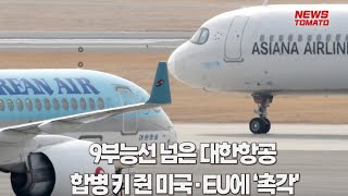 9부능선 넘은 대한항공, 미국·EU에 ‘촉각’ [말하는 기자들_산업_0518]