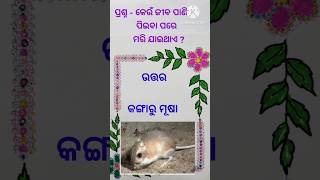 Odia g.k  | ଓଡ଼ିଆ ସଧାରଣ ଜ୍ଞାନ  #odia #odia gk #shorts