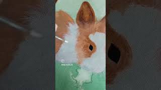Follow for more😻 #painting #timelapse #art #animals #drawing #acrylic #bunny #pets #artandcraft