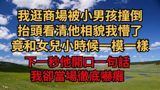 我逛商場被小男孩撞倒，抬頭看清他相貌我懵了，竟和女兒小時候一模一樣，下一秒他開口一句話，我卻當場徹底嚇癱【煙雨夕陽】#為人處世 #爽文 #情感故事 #深夜讀書 #幸福人生