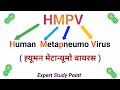 hmpv ka full form hmpv का फूल फोर्म what is the hmpv virus hmpv कहाँ से आया और कैसे बचें