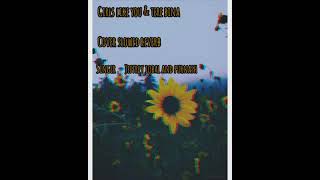 Girls like you & Tere bina [ cover reverb LOFI style ] a beautiful song by jeffrey iqbal and purnash