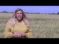 agweektv cereal crops tour casselton north dakota