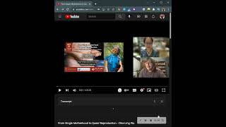 How To Open Transcripts On Youtube