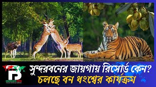 সুন্দরবন ঘিরে একের পর এক রিসোর্ট, চলছে এসি-জেনারেটর | Sundarbans | Bangaliwala News