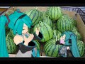 mikumikudance japanese summer