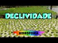 Qual a Declividade Ideal? #hidroponia #agriculturafamiliar #canaldocanal #hortacaseira