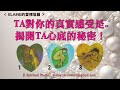 【Elaine的愛情塔羅】揭開TA內心的秘密！TA目前心裡對你真實的感受與想法是？(有特定情感互動對象，關係不拘)..