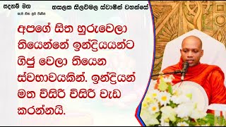 අපගේ සිත හුරුවෙලා තියෙන්නේ .1216Ven Hasalaka Seelawimala Thero