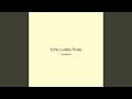 Echo Lullaby Pulse