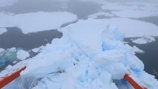 Antarktis-Expedition: Eisbrecher rammt Eisberg | DER SPIEGEL