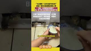 “大口喝粥，一口闷，简直不要太爽”，起猛了，看见乌龟喝粥还得有人喂，网友：白粥都刮成海鲜粥了，龟：吃了两口，脸皮都能给我刮6层下来 #萌宠 #宠哈哈 #pets