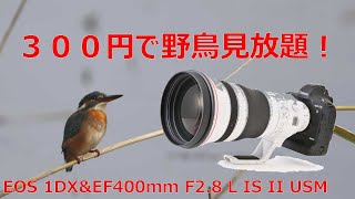 【超望遠レンズ】３００円で野鳥見放題！夢の楽園が存在した！？