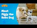 Ziggy the Robo dog - Smyths Toys