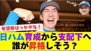 【議論】日ハム 育成から支配下へ！昇格候補を徹底予想　【なんJ反応】【2chスレ】【プロ野球反応集】