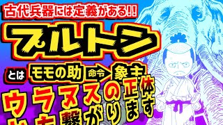 【ONEPIECE】光月モモの助がプルトンで確定!?古代兵器モデル発覚でウラヌスの大ヒントもアリ！【ワンピース考察】