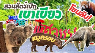 โซนลับ  สวนสัตว์เปิดเขาเขียว มหัศจรรย์สัตว์โลก  Khao Kheow Open Zoo  ชลบุรี ใกล้ชิดสัตว์ ล่าสุด 2024