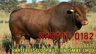 LOT 17: HART 17-0182