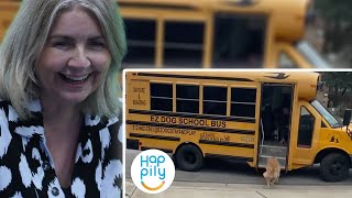 BRITS React to Dogs Loving to take School Bus to Doggy Day Care