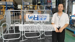 Hengyin Technology pig farm gestation crate introdution-Hengyin
