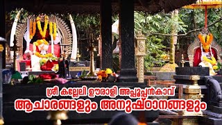 ശ്രീ കല്ലേലി ഊരാളി അപ്പൂപ്പൻ കാവ് #kalleliappooppankav #god #mythstories