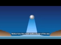 How Tides Are Formed