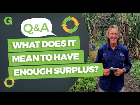 How did food surpluses change the way of life in early human settlements?