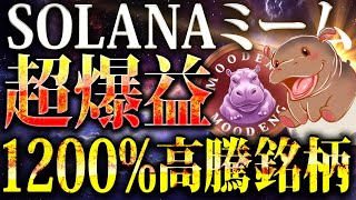 【超爆益銘柄MOODENG(ムーデン)】SOLANA上で大人気のミームコイン!!タイの動物園で人気の「Moo Deng」がモデルのムーデンは次期DOGE/SHIBとなるか?! 【仮想通貨/ソラナ】