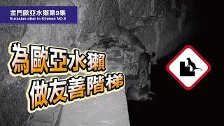 《金門水獺第9集 Eurasian otter in Kinmen NO.9》金門限定的友善階梯！人工化的設施會使用嗎?!歐亞水獺報你知~