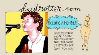 TV Torso - Days of Being Wild - Daytrotter Session