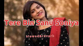 Tere Bin Sanu Soniya | Lofi Music | [Slowed & Reverb]