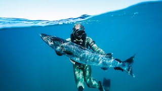 SpearFishing For Ultimate Underwater Predators 40ft DEEP!! (Perfect Shots)