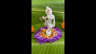 🌸Simple Decoration ideas for Krishna Janmashtami 🌼