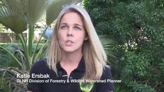 DLNR \u0026 YOU Sustaining Healthy Forested Watersheds for Hawaii's Communities HD