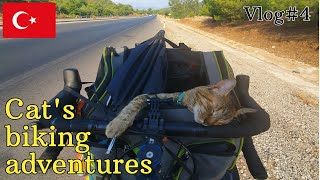 Nala cat's world adventures 🇹🇷 VLOG#4