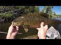 ploppin some summer smallies