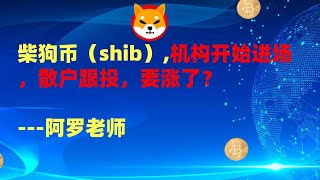 柴狗币（shib）,机构开始进场，散户跟投，要涨了？--数字货币区块链投资，火币，okex，币安交易所视频教程