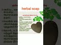 குப்பை மேனி இலை சோப்பு medicinalplants herbalremedies tamilmedicine herbalmedicine